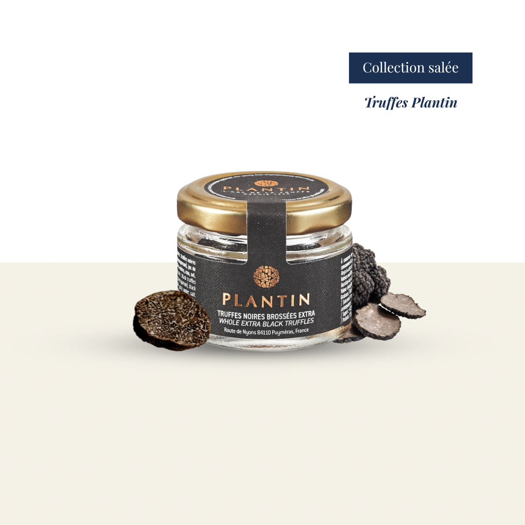 Truffes noires Plantin Melanosporum 25g boite conserve Paris France Gastronomie  Livraison
